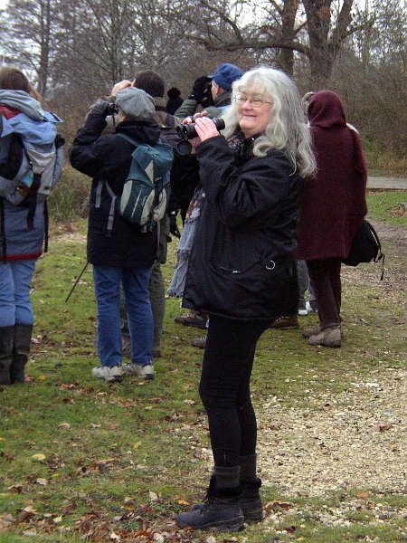 2009 01 Ornitho à Ecluzelles 09
